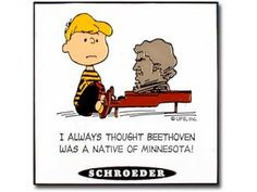 ... quotes peanuts snoopy snoopy quotes peanut schroeder charli brown