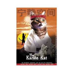 Funny Cat Greeting Card - The Karate Kat