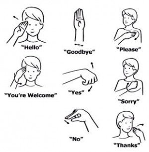 The letters of the alphabet in American Sign Language.