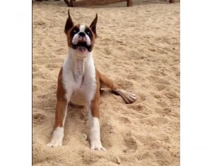 ... Pictures world goes crazy and crazy funny pictures funny quotes funny