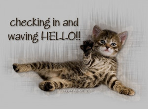 Cute Cat Pictures With Sayings | View Full Size | More cute funny ...