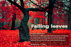 QUOTES ABOUT ISLAMIC LIFE