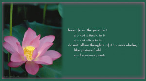Learn from the past but do not attach to it. Do not cling to it. Do ...