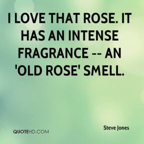 Steve Jones - I love that rose. It has an intense fragrance -- an 'old ...
