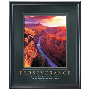 Perseverance Motivational Poster (733107)