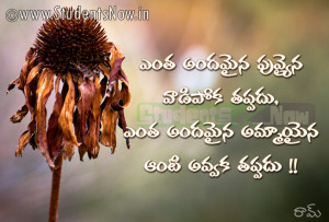funny quotes about girls telugu funny quotes telugu funny quotes with ...