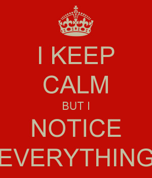 KEEP CALM BUT I NOTICE EVERYTHING