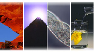 Robert Noyce Quotes And Page