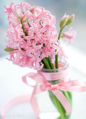 Pink hyacinths via Carol's Country Sunshine on Facebook