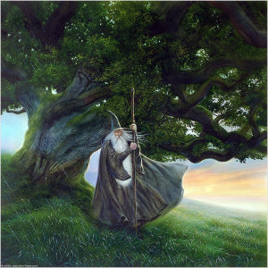 Gandalf the Grey Lord of the Rings Tolkien Illustration John Howe