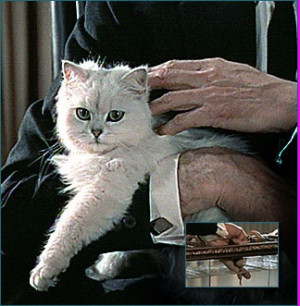 ... Dr. Evil) always stroking a cat (white one in particular) in movies