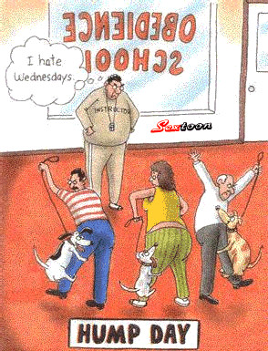 All Graphics » happy hump day