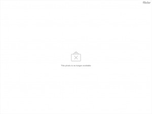 nelson mandela quotes domestic violence