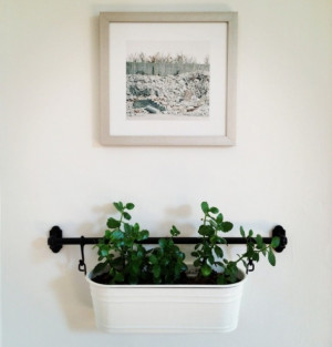 Ikea fintorp rail used to hang plants on the wall