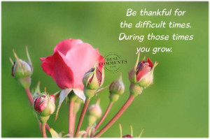 This picture was submitted by Gurvinder Singh Patialvi.