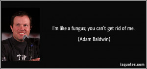 like a fungus; you can't get rid of me. - Adam Baldwin