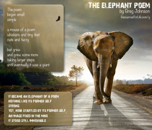 The Elephant Poem by Greg Johnson - The poem began small simple a ...