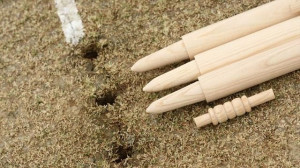 Quotes from the England team - Cricket - Eurosport