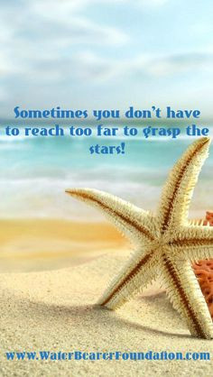 Marine Biology Quotes, Quotes About The Ocean, Quotes About The Sand ...