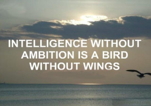 ... without ambition is a bird without wings - Intelligence Quotes
