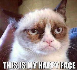 Awesome!!! I love this grumpy cat.