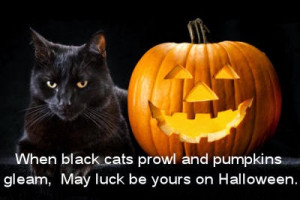Happy Halloween Quotes And Sayings- Best Ever