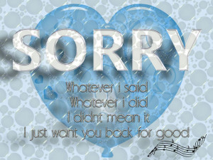 Sorry For Love Heart Quotes