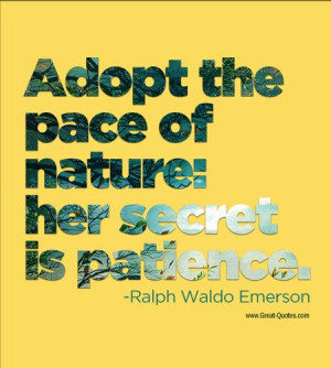 Ralph waldo emerson, quotes, sayings, patience, wise