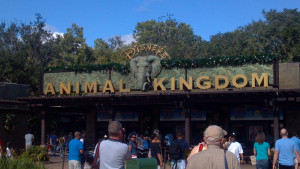 Land Ing Disney Animal Kingdom