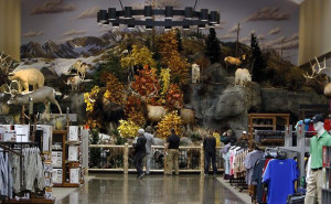 Living Fish, North America, Climate Control, Press Pennies, Fish Tanks ...
