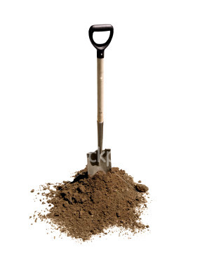 Shovel, Dirt and a Root