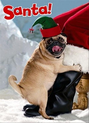 Return to Funny Friday Pictures – 75 Pics