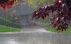 What to Consider When Looking for a Place This Rainy Season
