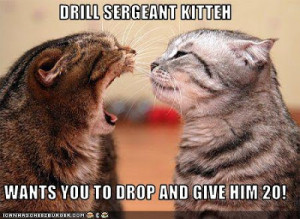 Your Drill Sergeant said WHAT? | Facebook Funny Movie Quotes | HA! HA ...