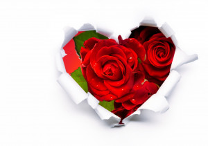 Bouquet de roses rouges dans un coeur de papier, © Konstiantyn ...