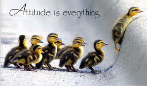 Inspirational Books -Attitude Is Everything -simple truths