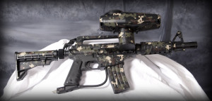 Insofar Quotes Follow Order...