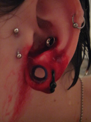 download this Tragus Helix Iner Conch Body Mods Picture picture