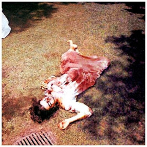 ... the crime scene photographs of the Charles Manson murders
