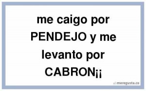 me caigo por PENDEJO y me levanto por CABRON