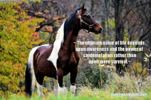 Quotes Best Quotes Author Index Movie Quotes Inspirational Pictures