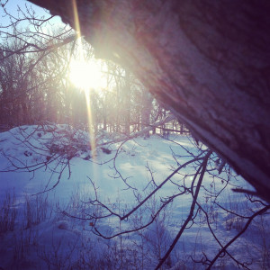 }{Snow}{Nails}{Ice-Cream}{Capital Kings}{Fluffy}{Berets}{Choir}{LOTR ...