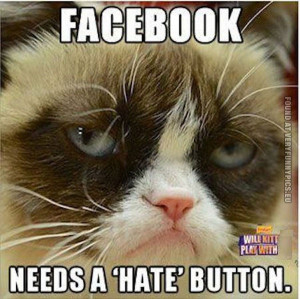 Facebook Grumpy Cat Quotes