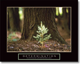 Famous Determination Quotes