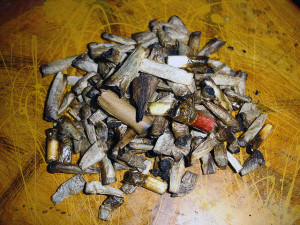 Tripping off the hocus pocus while im smoking roaches