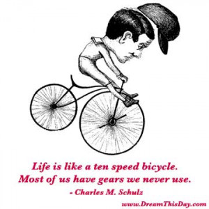 Life is like a ten speed bicycle. Most of us have gears we never use ...