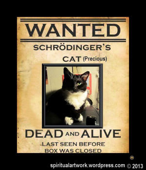 schrodinger's cat wanted dead or alive