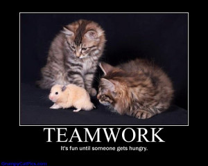 Teamwork, It’s Fun Until Someone Gets Hungry ”