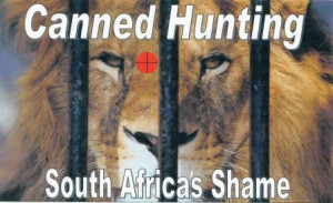 What is “canned hunting” …. here is the answer!!