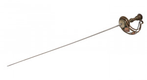 The form and style used by the users of rapiers is fencing.